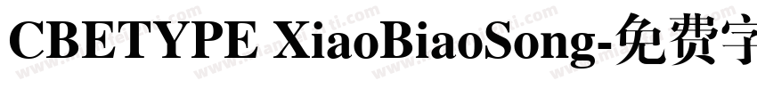 CBETYPE XiaoBiaoSong字体转换